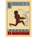 Rockpool Publishing Egyptian Star Oracle Cards