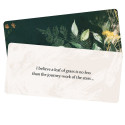 Blue Angel Leaves Of Wisdom Cards