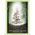 Blue Angel Sacred Rebels Oracle Cards