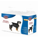 Diapers for female dogs, XL: 40–58 cm, 12 pcs.