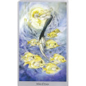 Llewellyn Shadowscapes Tarot Cards
