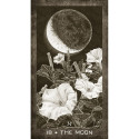 US Games Systems New Era Elements Tarot Cards