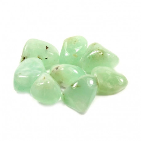Ancient Wisdom Prehnite (24 Pcs. L Size)