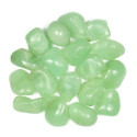 Ancient Wisdom Prehnite (24 Pcs. L Size)