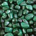 Ancient Wisdom Malachite Sa Grade (24 Pcs. L Size)