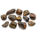 Ancient Wisdom Tiger's Eye (variegated) (12 Pcs. M Size)