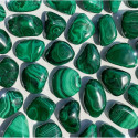 Ancient Wisdom Malachite Sa Grade (24 Pcs. L Size)