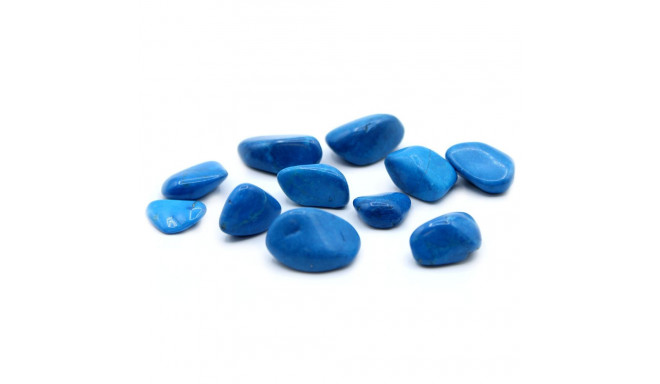 Ancient Wisdom Blue Howlite (24 Pcs. L Size)