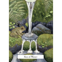Hay House The Witches Wisdom Tarot Cards (Standard Edition)