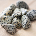 Ancient Wisdom Dalmatian Jasper (24 Pcs. L Size)