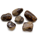 Ancient Wisdom Jasper Nguni (6 Pieces L Size)