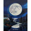 US Games Systems Ancestral Path Tarot Cards