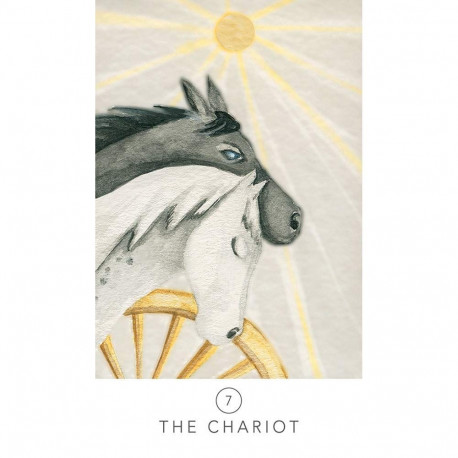 US Games Systems White Sage Metal Box Tarot Cards