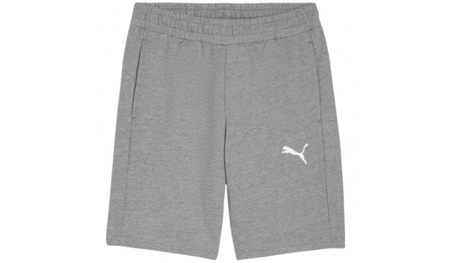 Spodenki męskie Puma teamGOAL Casuals szare 658608 33 M