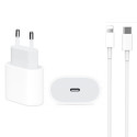DCO IPX 20W PD Type-C pistik kiire laadija iPhone 11 12 13 14 / Pro / Max + Lightning kaabel A2347 (