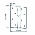 HINGE DOOR 100X70X2.5 AB AGED BRASS RIG