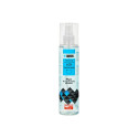 IBOX CHSE I-BOX LCD CLEANING SPRAY, 250 ml