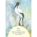 Findhorn Press Oracle Of The Birds Cards