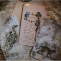 Llewellyn The River Oracle Cards