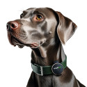 Trackipet GPS tracking device for dogs