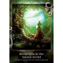 Earth Dancer Soul Helper Oracle Cards