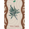 Rockpool Aboriginal Healing Oracle Cards