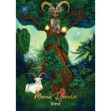 Hay House African Goddess Rising Pocket Oracle Cards