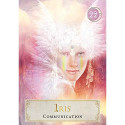 Hay House Goddess Power Oracle Cards (Smaller Version)