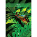 Messages from the Spirits of Nature Oracle cards Hay House