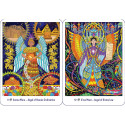 Destiny Books Amazonian Angel Oracle Cards