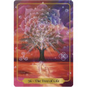 Animal Dreaming Sacred Blessings Oracle Cards