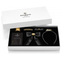 Balmain juukseklamber Limited Edition Hair Slide Bow Large FW21