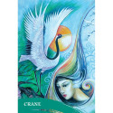 Blue Angel The Zen Of Animals Oracle Cards