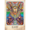 Blue Angel Earth Warriors Oracle Cards