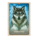 Blue Angel The Secret Language Of Animals Oracle Cards