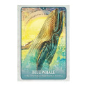 Blue Angel The Secret Language Of Animals Oracle Cards