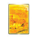 Blue Angel Wisdom Of The Golden Path Oracle Cards