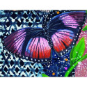 Rockpool Indigo Sage Affirmation Cards