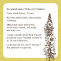 Rockpool Apothecary Flashcards Cards