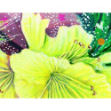 Rockpool Lightness Of Being Affirmation Cards