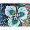 Rockpool Water Blessings Affirmation Cards