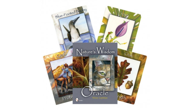 Schiffer Publishing Natures Wisdom Oracle Cards