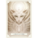 Blue Angel White Light Oracle Cards