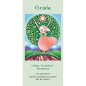 Blue Angel Wings Of Wisdom Oracle Cards