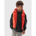 Jacket, sleeveless 4F Jr 4FJWAW24TVJAM134-70S (146)