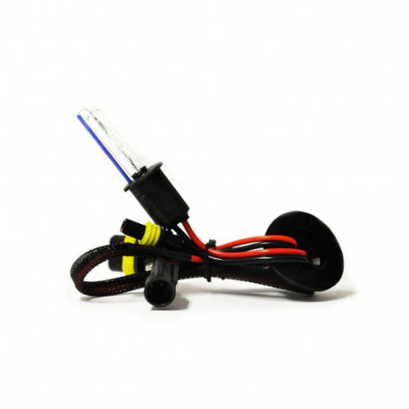 01985 HID H3 6000K ksenoon pirn