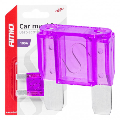 Auto kaitsme maxi 100A amio-03387
