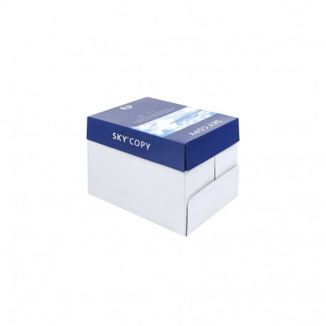 Papier ksero A4 80g karton- 5 ryz