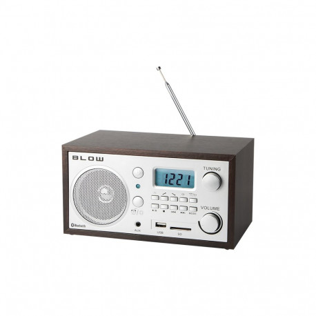 77-531# analoogne kaasaskantav FM-raadio BT Blow RA2