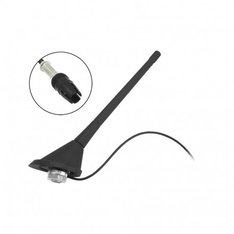 22-670# autoantenn Fiat Raw (Raku I) jaoks